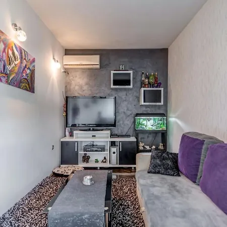 Apartment Cool Cozy